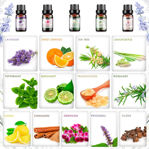 Set, (26 5ml) Essential Oils Aromatherapy Essential Oil Kit for Diffuser, Massage, Skin Care x - Eucalyptus, Lavender