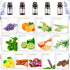 Set, (26 5ml) Essential Oils Aromatherapy Essential Oil Kit for Diffuser, Massage, Skin Care x - Eucalyptus, Lavender