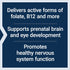 Life Extension Prenatal Advantage Supplement – Comprehensive Prenatal Vitamin for Pregnant Women, 120 Softgels