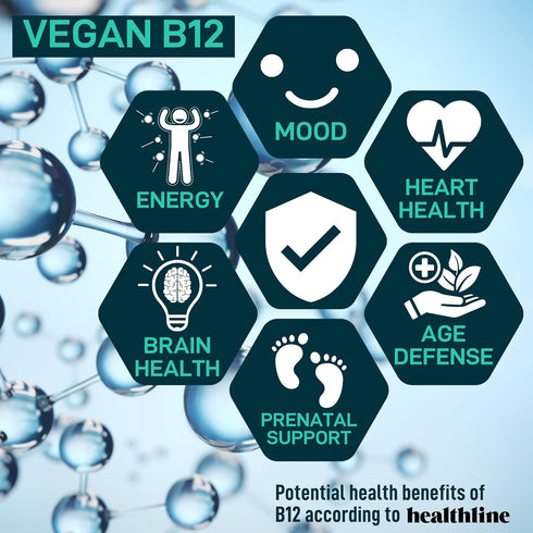 Vegan Probiotic Plus B12 - 22 Billion CFU Synbiotics for IBS, Digestive & Gut Health, Mood Support - 60 Gluten-Free