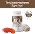 OM Mushroom Superfood Brain Fuel Mushroom Powder Capsules Superfood Supplement, 90 Count, 30 Days, Lion's Mane, Reishi Blend plus Folate, Mental Clarity, Mushroom Supplement
