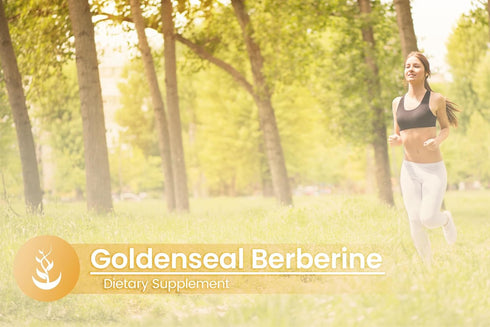 Pure Original Ingredients Goldenseal Berberine, Always Pure, Lab Verified (100 Count)