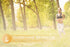 Pure Original Ingredients Goldenseal Berberine, Always Pure, Lab Verified (100 Count)