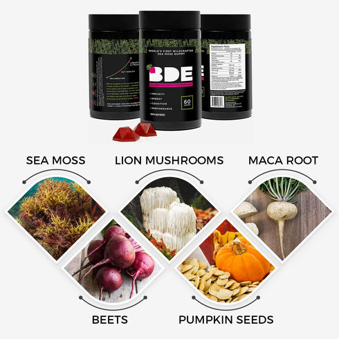 BDE Wildcrafted Sea Moss Gummy with Maca Root, Beets, Lions Mane Mushroom, 60 Count