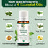 Center of Paradise Immune Restart Organic Essential Oil Blend for Immune Support* (10 ml) - Non-GMO Eucalyptus