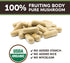 Longevity Botanicals Organic Maitake Mushroom Capsules, Ultra Concentrated Supplement for Balanced Immune System, 100%