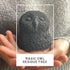 Chada Magic Owl Activated Charcoal Decorative Deodorizer, Natural Room Odor Eliminator, 420g