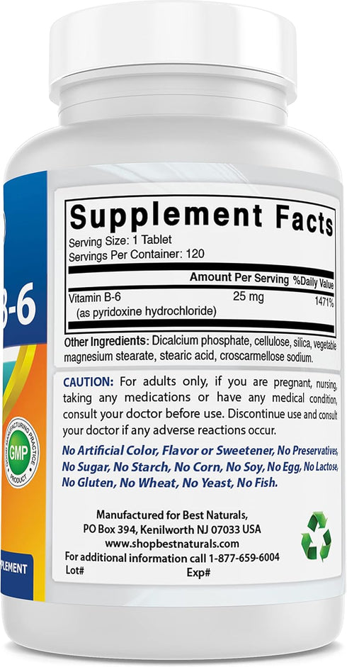 Best Naturals Vitamin B6 25mg, 120 Tablets (Pack of 1)