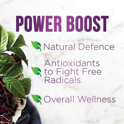 Elderberry Immune Support Capsules - 10:1 Extract, 60 Count, Vegan, Sugar & Gluten Free, Natural Sambucus Black