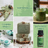 SALUBRITO Essential Oils Set - Nature Fragrance Oils Set for Diffuser, Candle, Soap Making - Forest Pine, Ocean Breeze