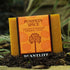 Plantlife Pumpkin Spice Bar Soap, Moisturizing and Soothing, 4oz Bar