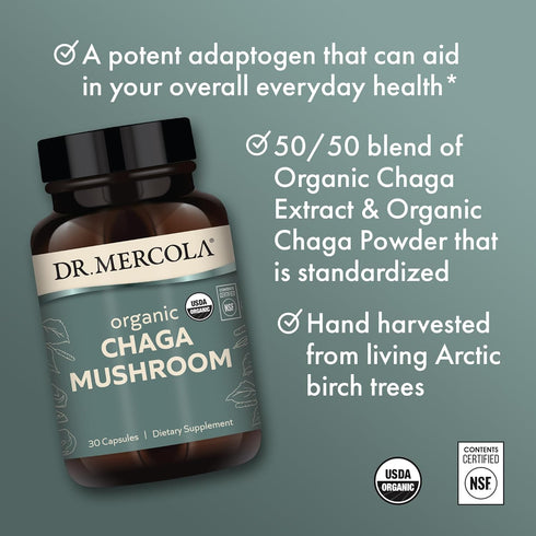 Immune 30 (30 Dr. Mercola Organic Chaga Mushroom - Support - Adaptogenic Blend with Chaga Extract & Chaga Powder - USDA