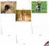The Best Card Company - 10 Adorable Blank Dog Cards (4 x 5.12 Inch) - Assorted Pet Breeds, Boxed Set