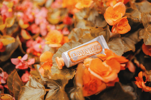 Marvis Ginger Mint Toothpaste