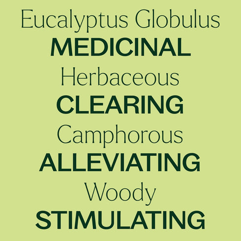 Plant Therapy Eucalyptus Globulus Essential Oil, 10 mL (1/3 oz) for Diffuser, Skin, Hair, Aromatherapy