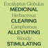 Plant Therapy Eucalyptus Globulus Essential Oil, 10 mL (1/3 oz) for Diffuser, Skin, Hair, Aromatherapy
