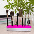 TANG SONG 1 PCS Silicone Makeup Brush Holder, Cosmetic Storage Box for Desktop Organizers (Pink)