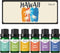 ESSLUX Fragrance Oil Set - Hawaii Scented Oils for Candle Making, Soap Making, and Diffuser Fresh Scents - 6x10ml.