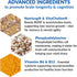 BioTrust Eternal Mind Brain Supplements - Clinically Studied Memory Supplement for Focus & Cognition - 30 Servings