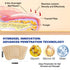 Weluno 32 8-Hour Nail Patches PCS, Toenail Treatment Extra Strength, Overnight Nail Fast Acting Repair Effortless