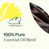 Plant Therapy Love Vanilla Essential Oil Blend, 10 mL (1/3 oz), 100% Pure, Therapeutic Grade