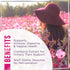 Women's Probiotic - Gummy for Digestive Health, Vaginal pH, Urinary & Immune Support - 60 Gummies