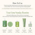 Lime Sunday Refresh Hair Essence - Vitamin C & Tea Tree Oil for Hair Vitality, 50ml / 1.69 fl. Oz