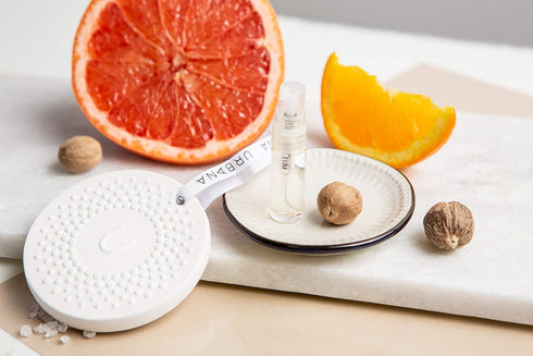 Home Collection Fragrance, Ceramic Stone Diffuser + Mini Fragrance Oil Spray (0.1 fl oz), Citrus + Seed