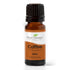 Plant Therapy Coffee Essential Oil 100% Pure, Undiluted, Natural Aromatherapy - Therapeutic Grade 10 mL (1/3 oz)