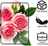 Wahijihe 4Pcs Sheet,3X 4.72 6.69in Page Magnifying Lightweight Handhold Full Page Magnifier for Seniors and Low Vision