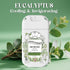 Travel Size Toilet Spray, Air Freshener Spray for Bathroom Deodorizer, Travel Essentials Variety with Removable Hook