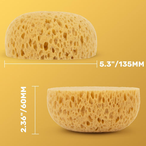 2PCS Knockdown Texture Sponge - Drywall Repair Texture Spray Drywall Texture Patch Sponge for Painting Ceiling Wall Knock Down Texture Tool Paint Sponge by MAQIHAN