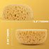 2PCS Knockdown Texture Sponge - Drywall Repair Texture Spray Drywall Texture Patch Sponge for Painting Ceiling Wall Knock Down Texture Tool Paint Sponge by MAQIHAN