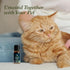 PURSONIC Pet Friendly Aromatherapy Essential Oils Collection, 6-Count - Safe for Dogs and Cats, Natural Relaxation