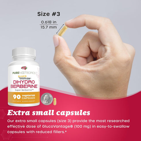 Dihydroberberine (GlucoVantage) 100 mg - 90 Capsules, Super Berberine Supplement