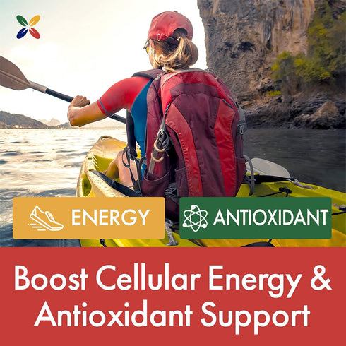 Stop Aging Now MAX-Q10 ULTRA CoQ10, 60 Softgels with BioPQQ for Advanced CoQ10 Complex