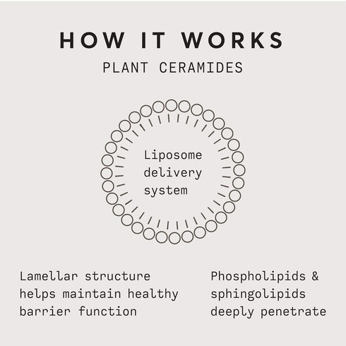 Naturium Plant Ceramide Rich Moisture Cream - Hydrating & Anti-Aging Skincare - 3.5 oz