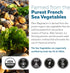 Organic Magnesium | Whole Food Magnesium - Plant-Based, 250 mg per Serving | Gentle on Stomach | 60 Capsules