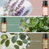 NHNNHN 6 Set, Essential Oils for Diffuser and Home, Top Aromatherapy Oils Gift Pure Aromatherapy Diffuser Oil