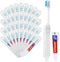 Toothbrush and Toothpaste Travel, Individually Packaged with Storage Box, Foldable Storage, Toothbrush