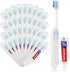 Toothbrush and Toothpaste Travel, Individually Packaged with Storage Box, Foldable Storage, Toothbrush