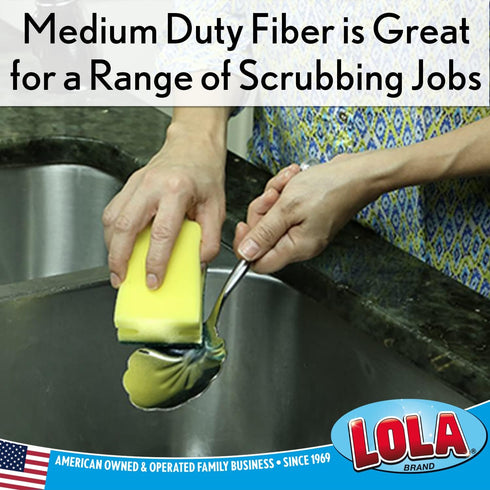 Lola Products Heavy Duty Dual Purpose Non-Scratch Scouring Sponge, 6-Pack, 3.75" x 2.75" x 1.875"