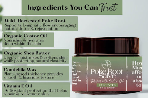 Living Farms Poke Root & Castor Oil Salve - Cysts, Boils, Fibroids, Swollen Lymph Nodes, Breast & Joint - Vegan