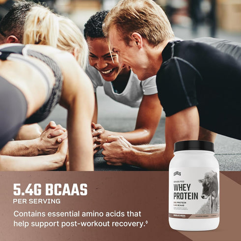 Levels Grass Fed Whey Protein Powder - No Artificials, 24G Protein, Chocolate Mocha, 2LB