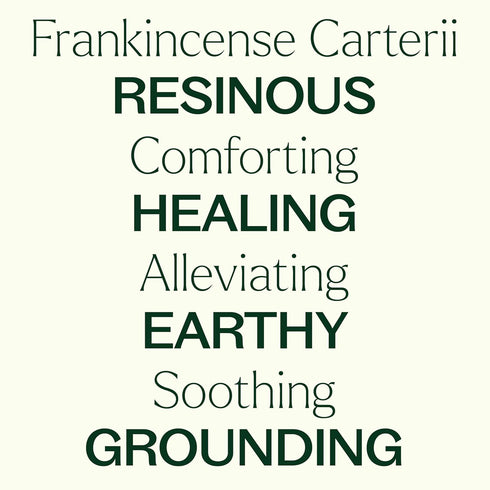 Plant Therapy Organic Frankincense Carterii Essential Oil, 100% Pure, 10 mL, USDA Certified Organic