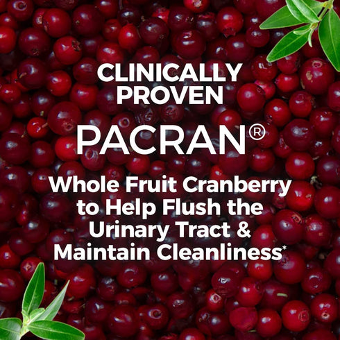 AZO Cranberry Supplement, 100 Softgels, Sugar Free, Non-GMO, Urinary Tract Health with Whole Fruit Powder