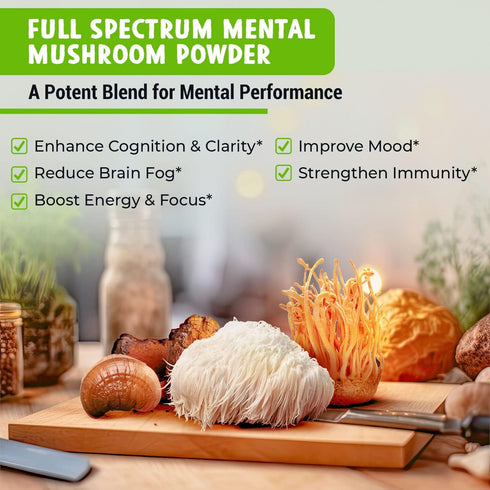 Immune MAJU's Mental Mushroom Powder Extract, Strong Lions Mane, Chaga, Reishi, Cordyceps, Fruiting Bodies for Coffee