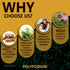 Polypodium Leucotomos Extract 2400mg - 120 Veg Capsules, Supports Natural Healthy Skin Care, Antioxidant, Vegetarian,