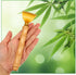 Ptwola Back Scratcher Classic Portable Extendable Bamboo Back Scratcher for Men Women Telescoping Body scratchers