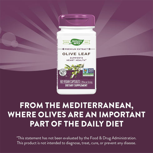 Nature's Way Premium Extract Olive Leaf Supplement, 250mg Per Serving, 60 Capsules